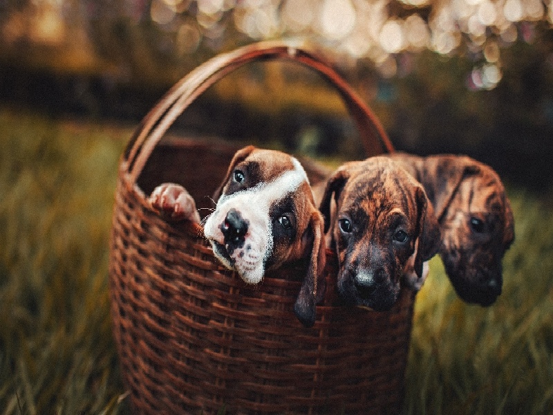 试管用药开始过敏,厦门试管有报销